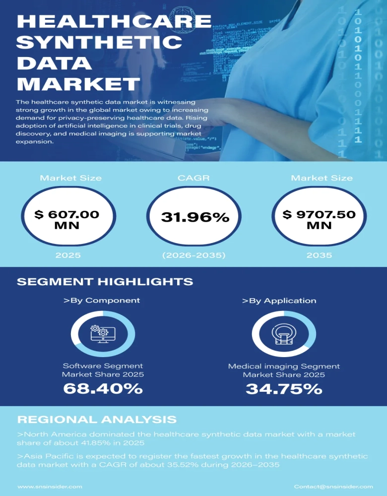 Healthcare Synthetic Data Market Infographic