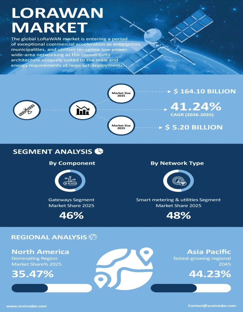 LoRaWAN Market Infographic