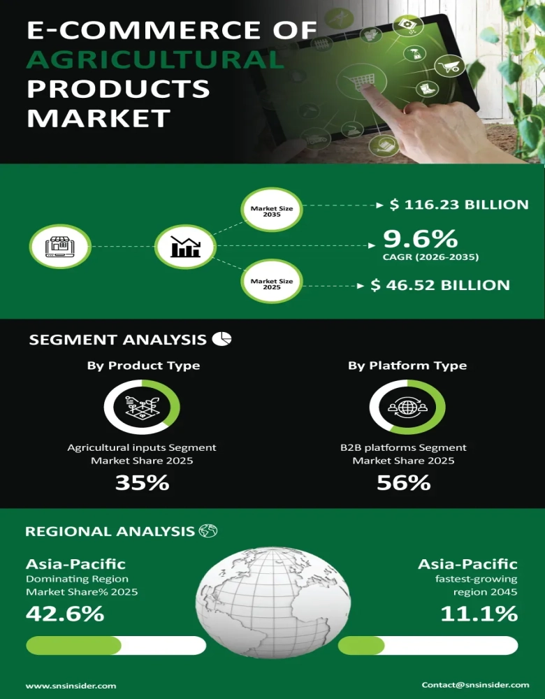 E-commerce of Agricultural Products Market Infographic