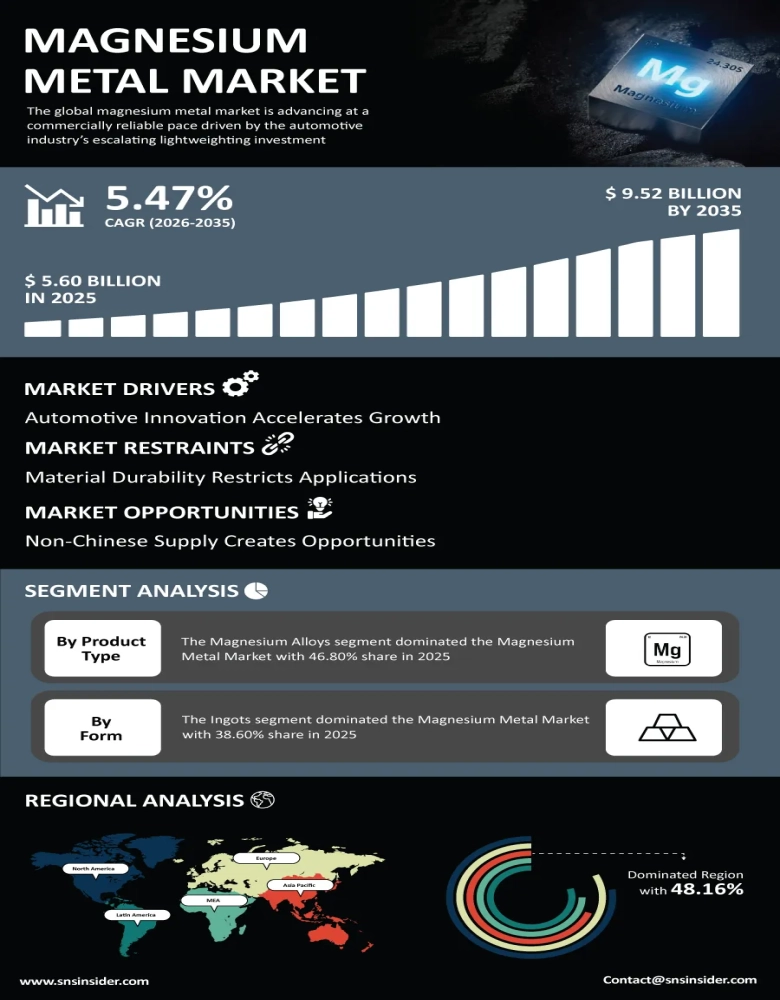 Magnesium Metal Market Infographic