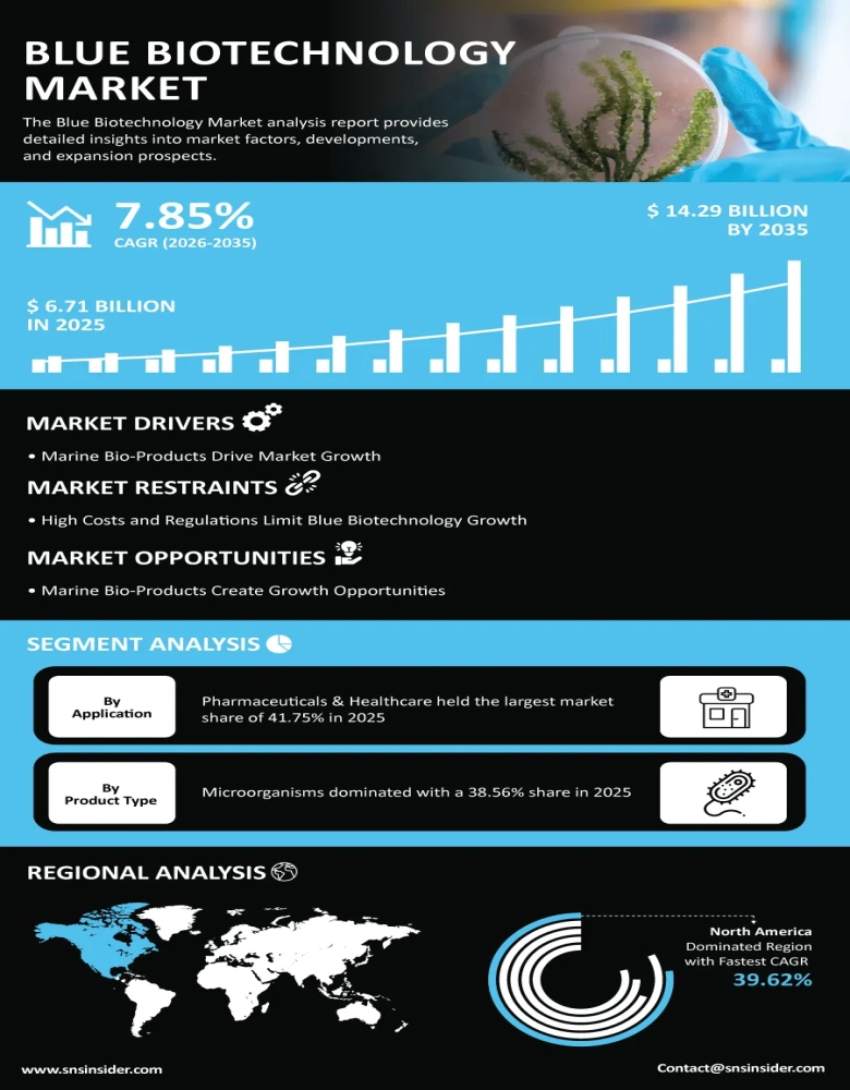 An Infographic Representation of the Global Blue Biotechnology Market