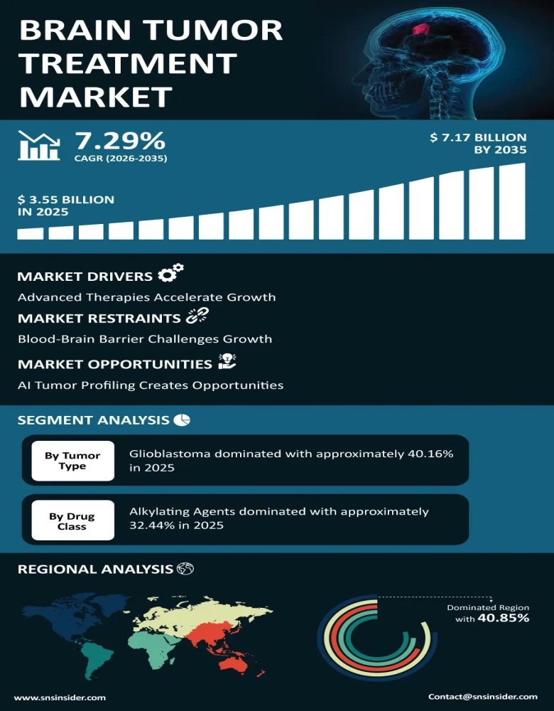 Brain Tumor Treatment Market Infographic