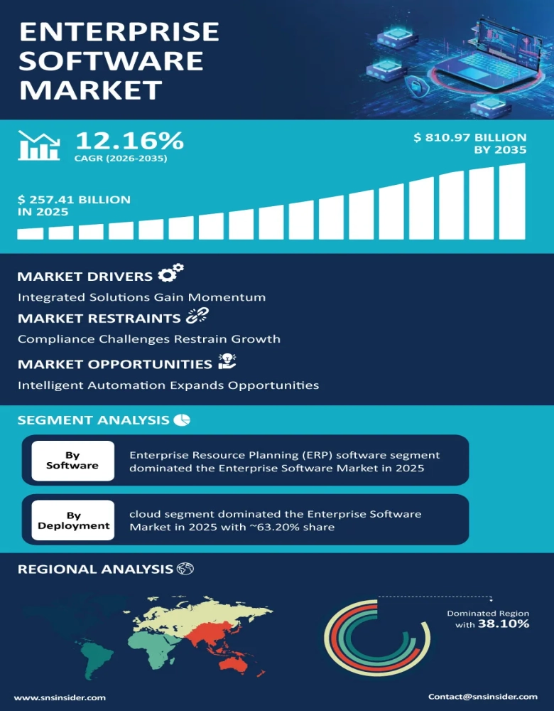 Enterprise Software Market Infographic