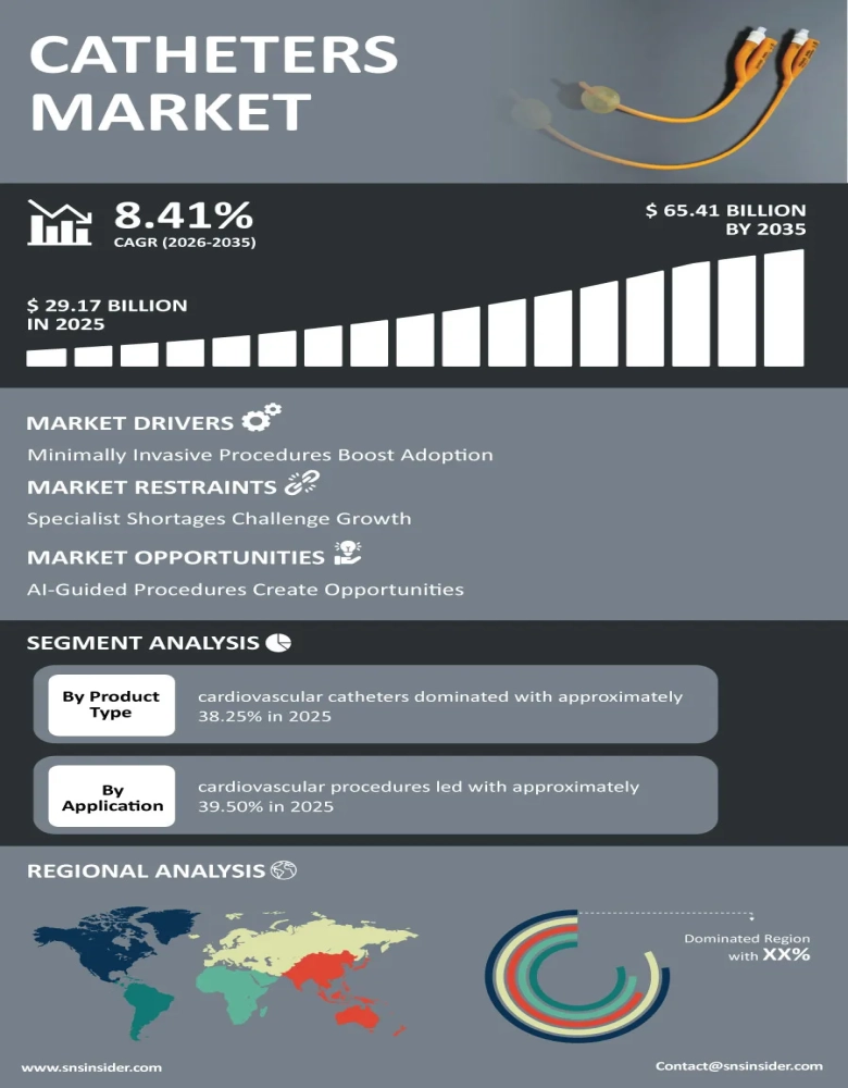 Catheters Market Infographic
