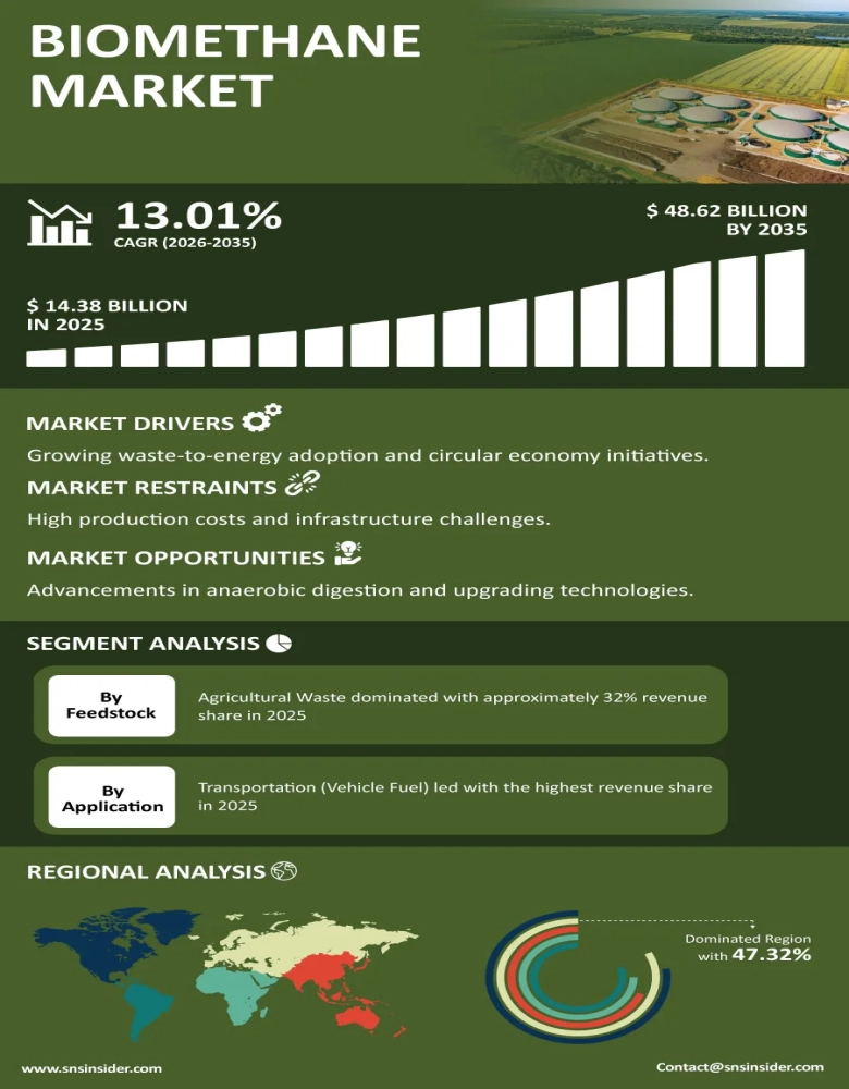 Biomethane Market Infographic