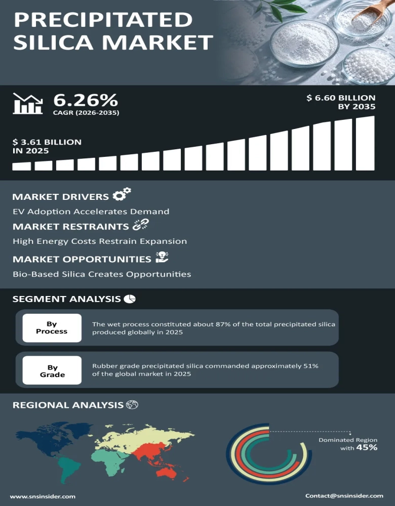 Precipitated Silica Market Infographic