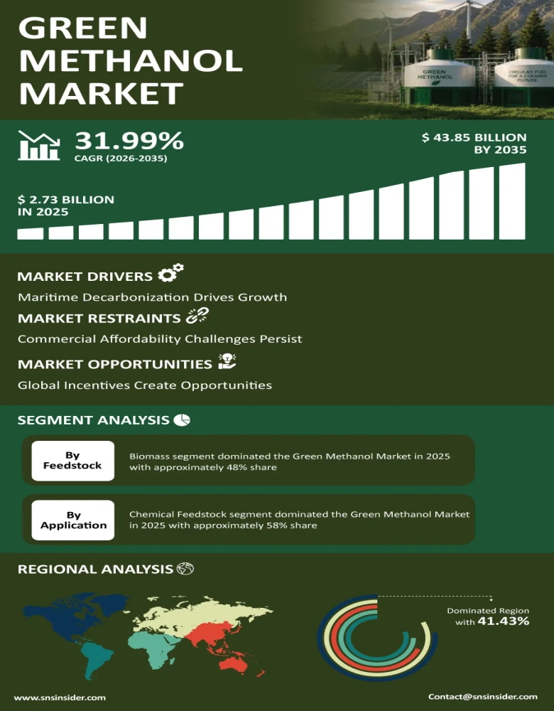 Green Methanol Market Infographic