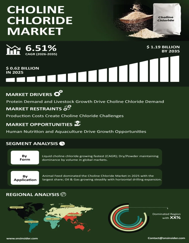 Choline Chloride Market Infographic