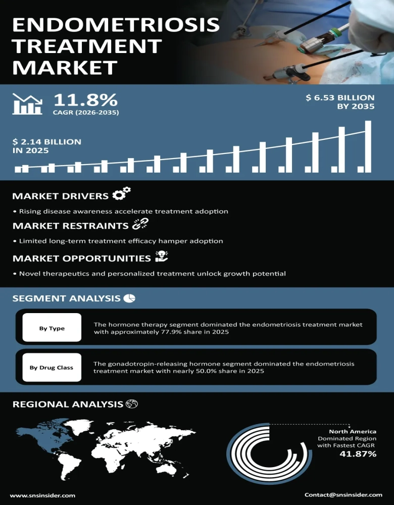 Endometriosis Treatment Market Infographic
