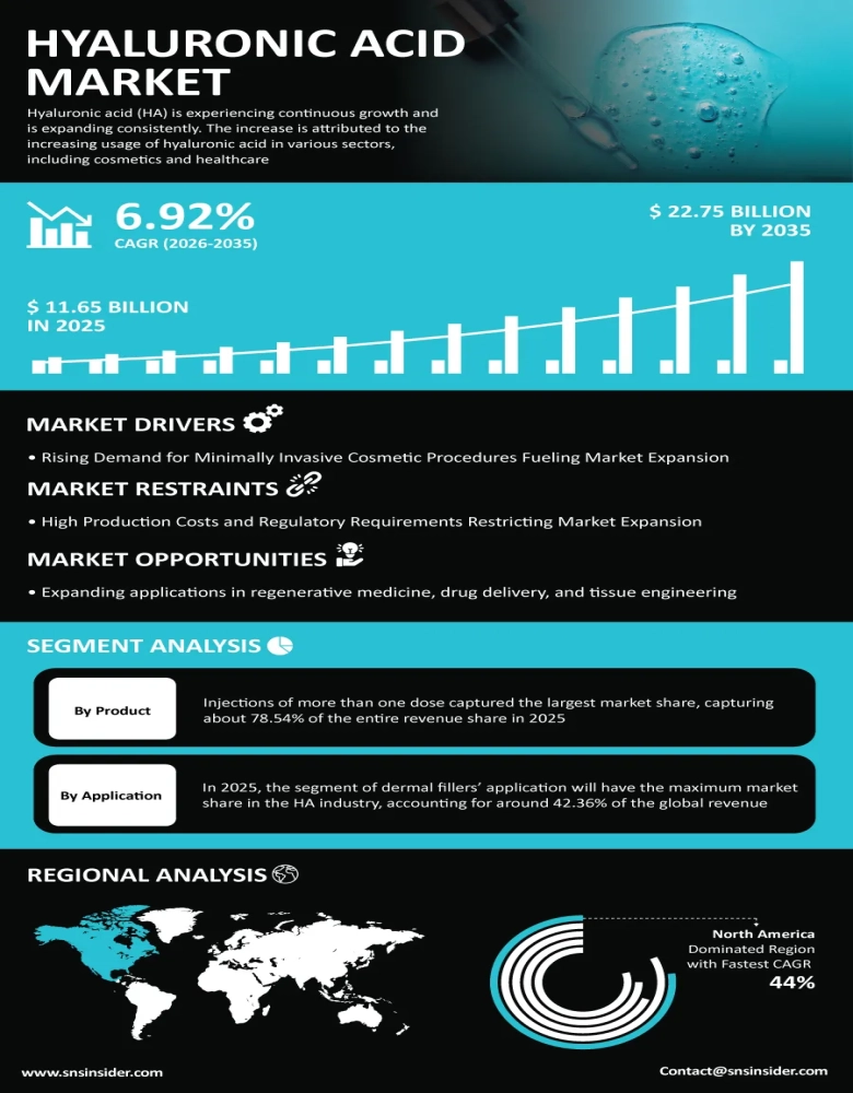 Hyaluronic Acid Market Infographic