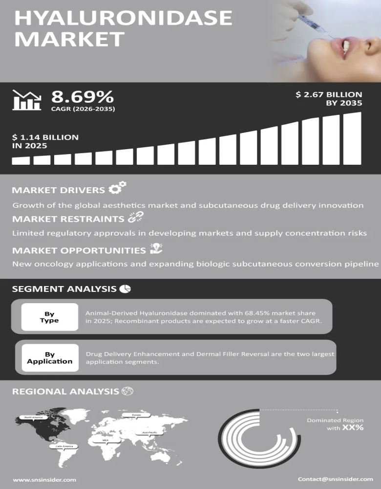 Hyaluronidase Market Infographic