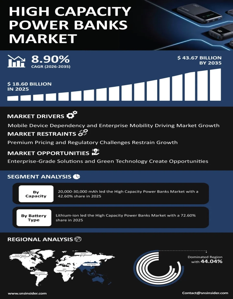 High Capacity Power Banks Market Infographic