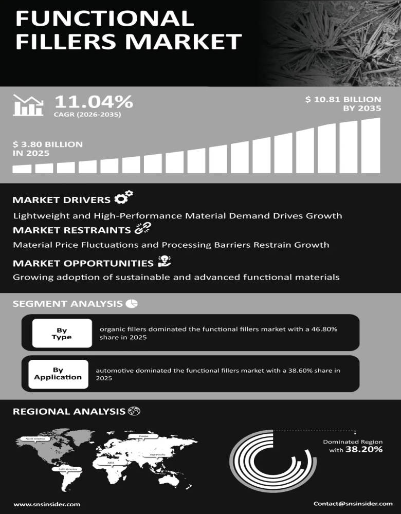 Functional Fillers Market Infographic