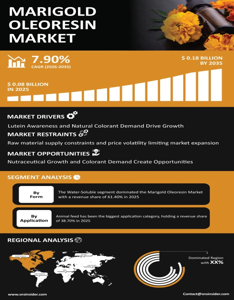 Marigold Oleoresin Market Infographic
