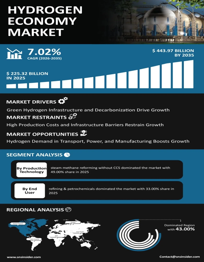 Hydrogen Economy Market Infographic