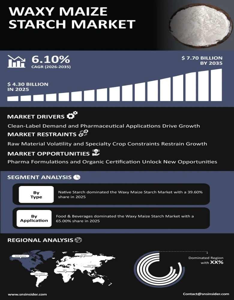 Waxy Maize Starch Market Infographic