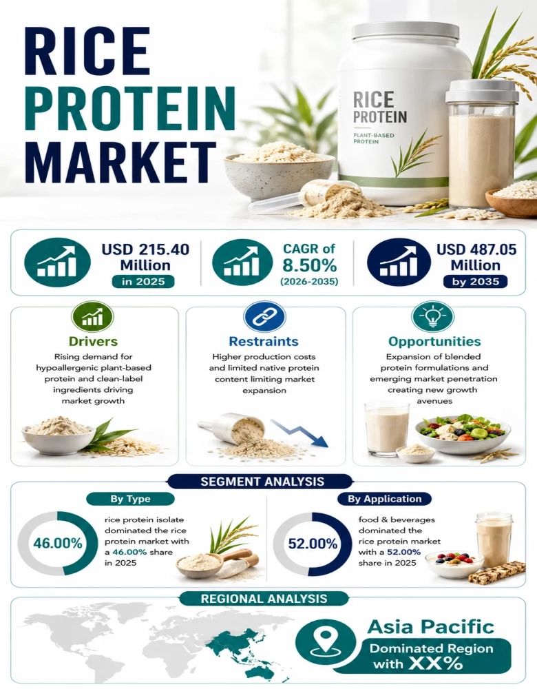 Rice Protein Market Infographic
