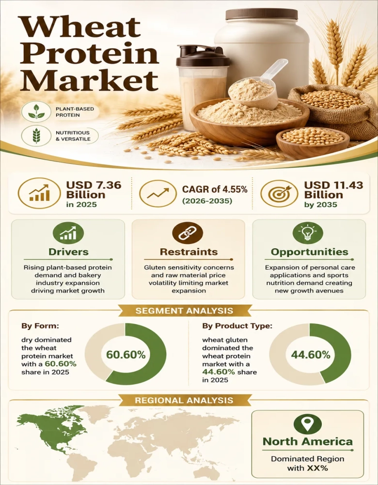 Wheat Protein Market Infographic