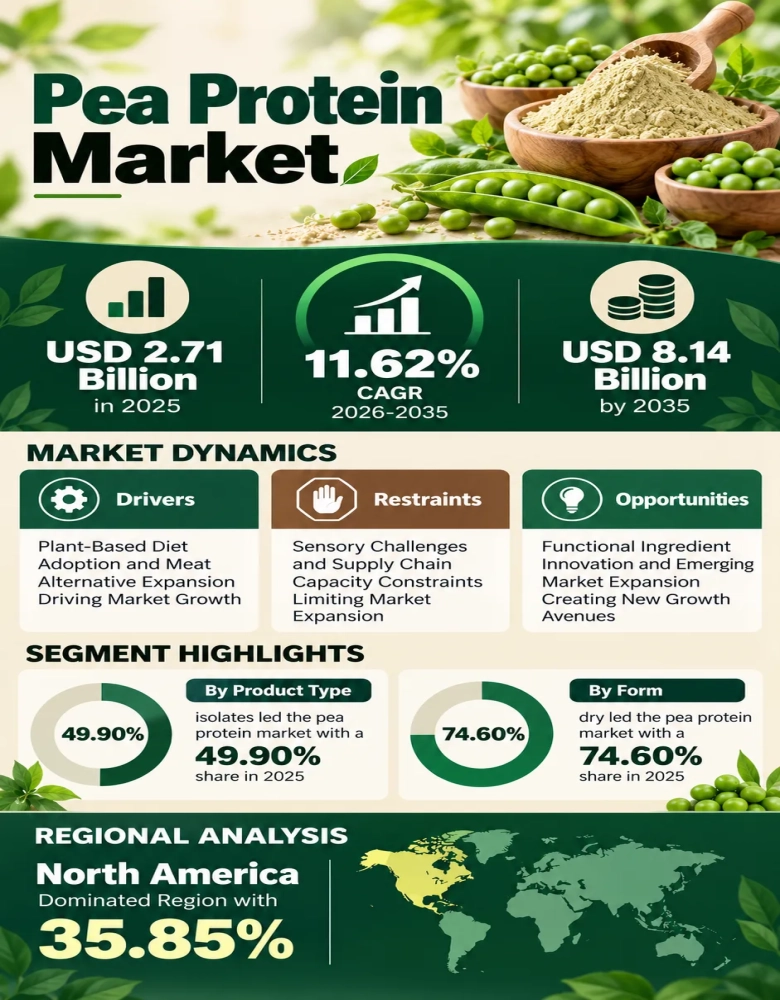 Pea Protein Market Infographic