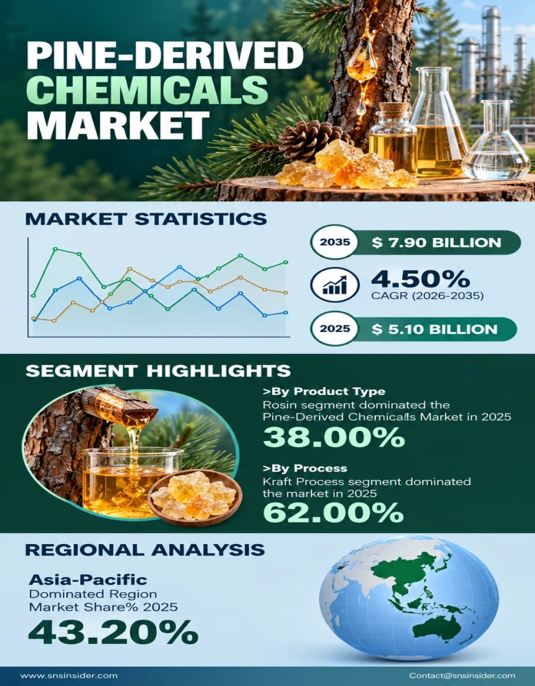 Pine-Derived Chemicals Market Infographic