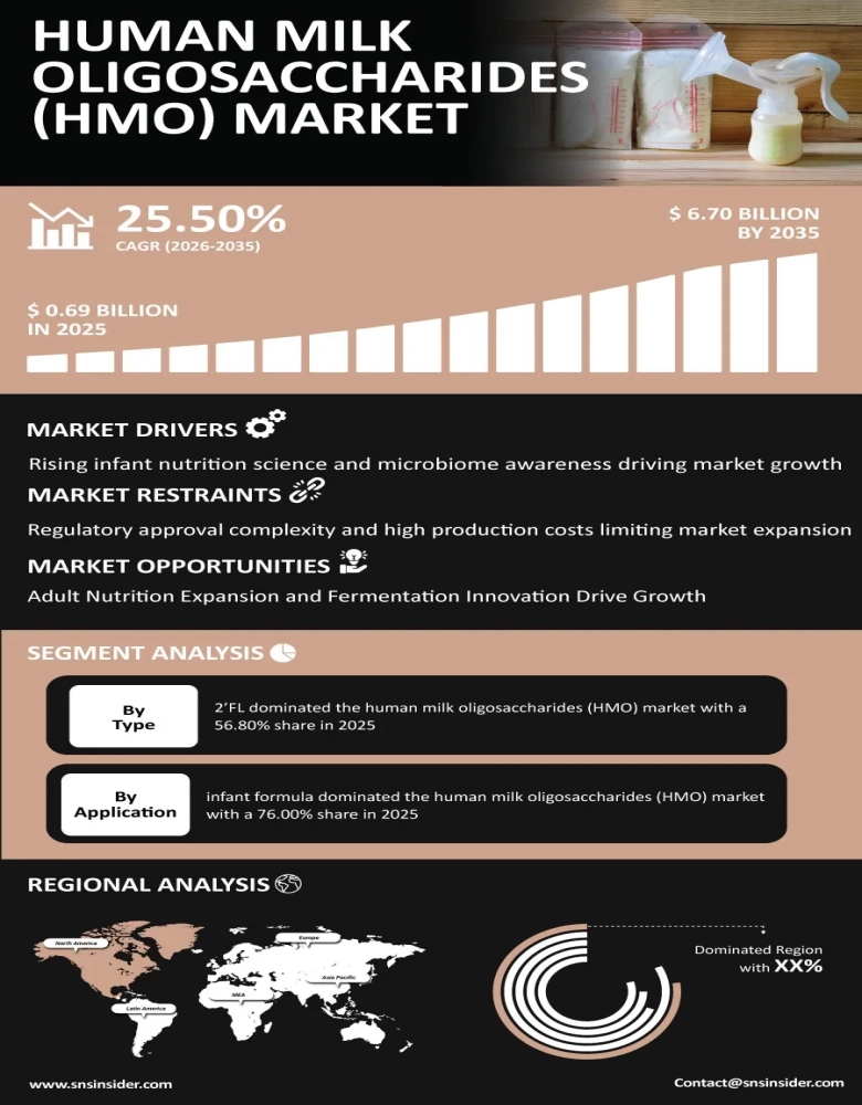 Human Milk Oligosaccharides (HMO) Market Infographic