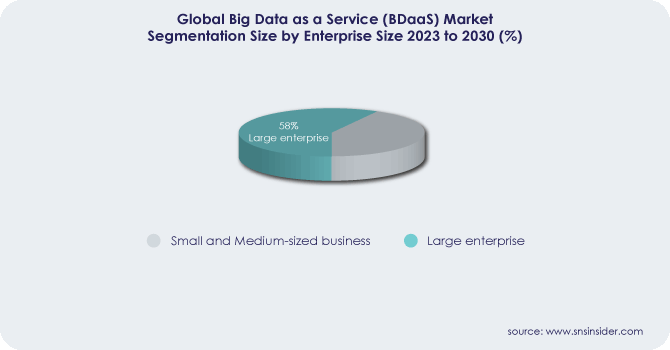 Big Data as a Service (BDaaS) Market By Enterprise Size