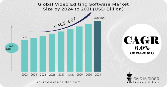Video Editing Software Market Revenue analysis