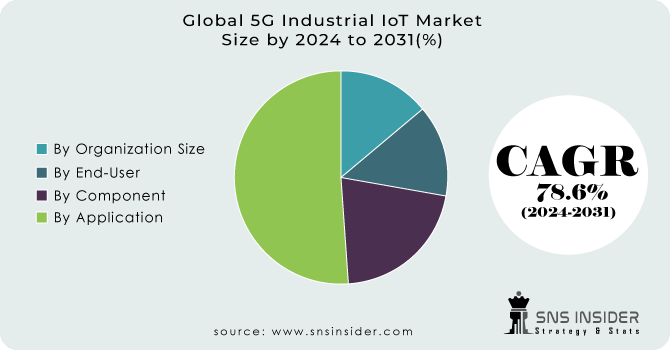 5G Industrial IoT Market Segment Analysis