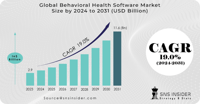 Behavioral Health Software Market Revenue Analysis