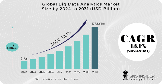 Big Data Analytics Market Revenue Analysis