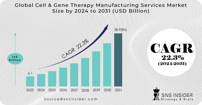 Cell & Gene Therapy Manufacturing Services Market Revenue Analysis