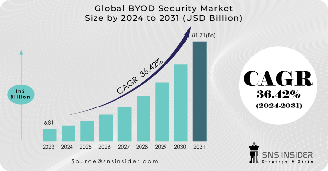 BYOD Security Market Revenue Analysis