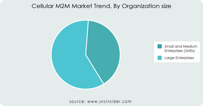 Cellular M2M Market By Organization size