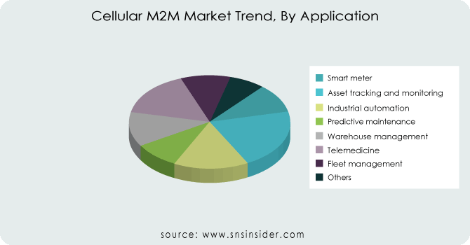 Cellular M2M Market By Application