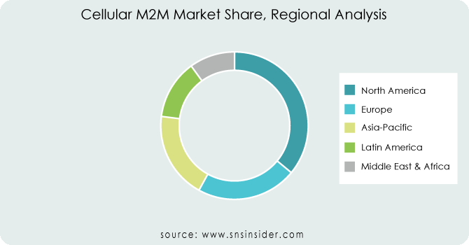 Cellular M2M Market By Region
