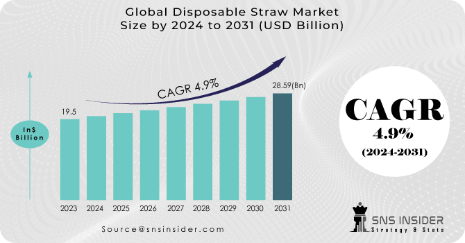 Disposable Straw Market Revenue analysis