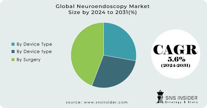 Neuroendoscopy Market Segment Analysis