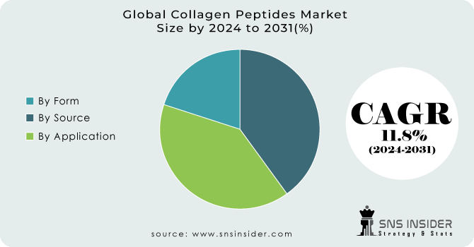 Collagen Peptides Market Segment Analysis