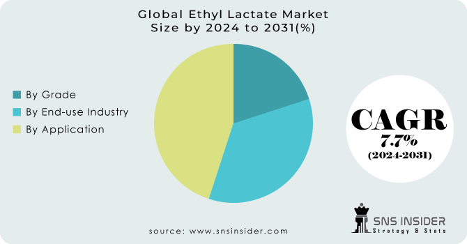Ethyl Lactate Market Segmentation Analysis