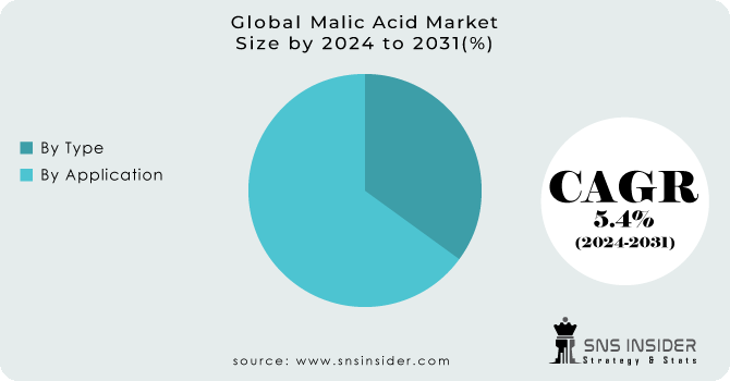 Malic Acid Market Segmentation Analysis