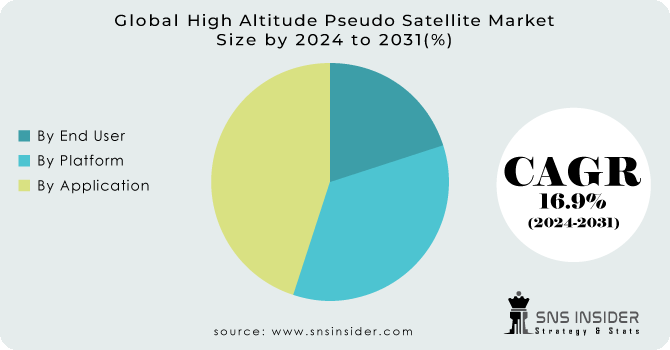 High-Altitude-Pseudo-Satellite-Market Segmentation Analysis