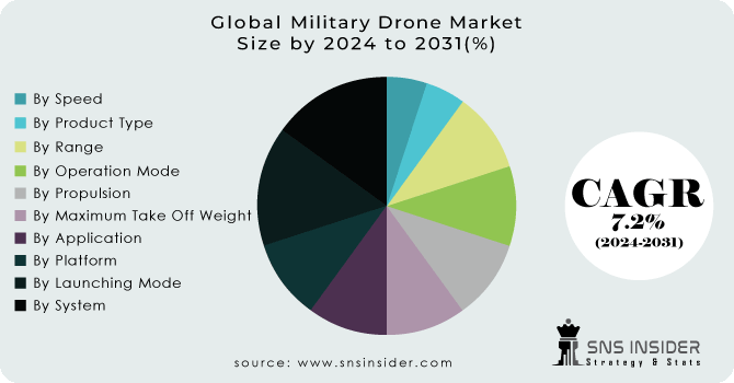 Military Drone Market Segmentation Analysis