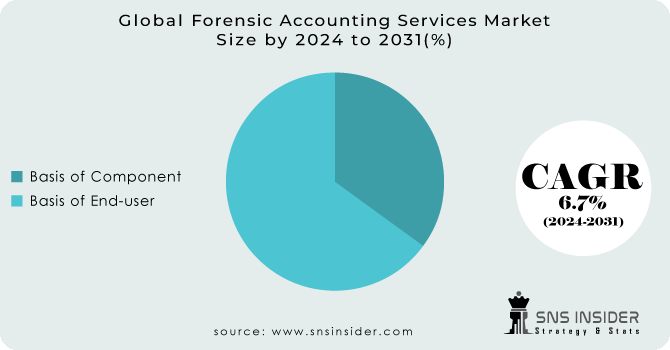 Forensic Accounting Services Market Segmentation Analysis