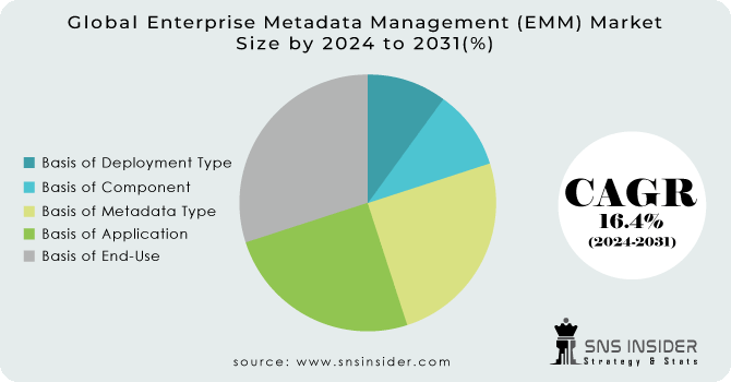 Enterprise-Metadata-Management-EMM-Market Segmentation Analysis