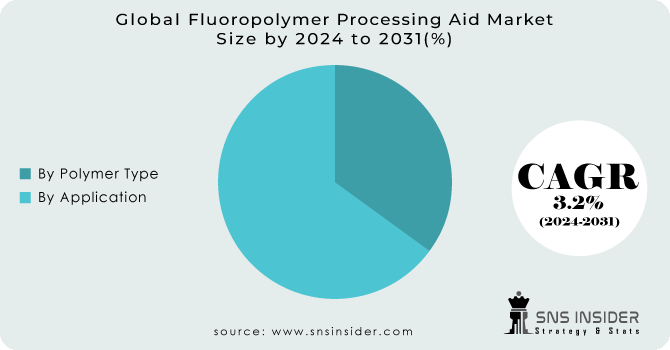 Fluoropolymer Processing Aid Market Segmentation Analysis