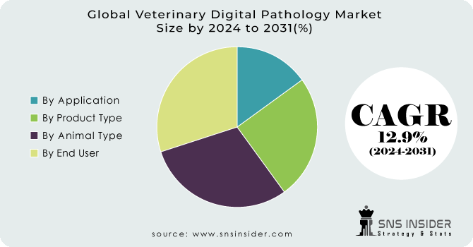 Veterinary Digital Pathology Market Size & Share [2024-2031]