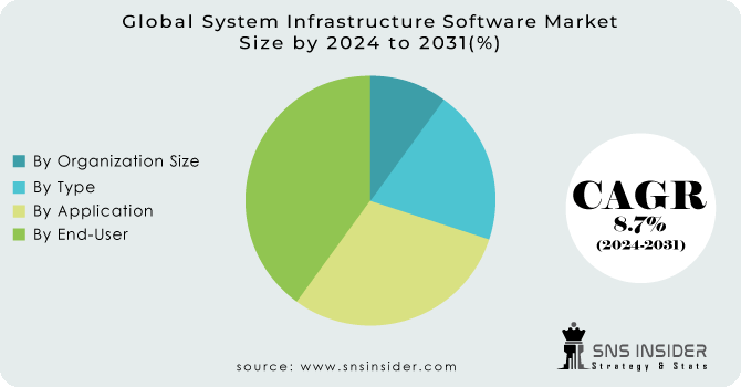 System-Infrastructure-Software-Market Segmentation Analysis