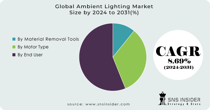 Ambient Lighting Market Segment Analysis