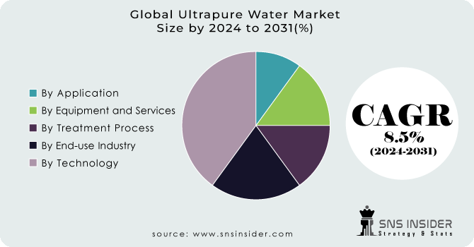 Ultrapure Water Market Segment Analysis