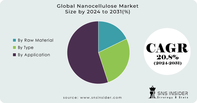 Nanocellulose Market Segment Analysis